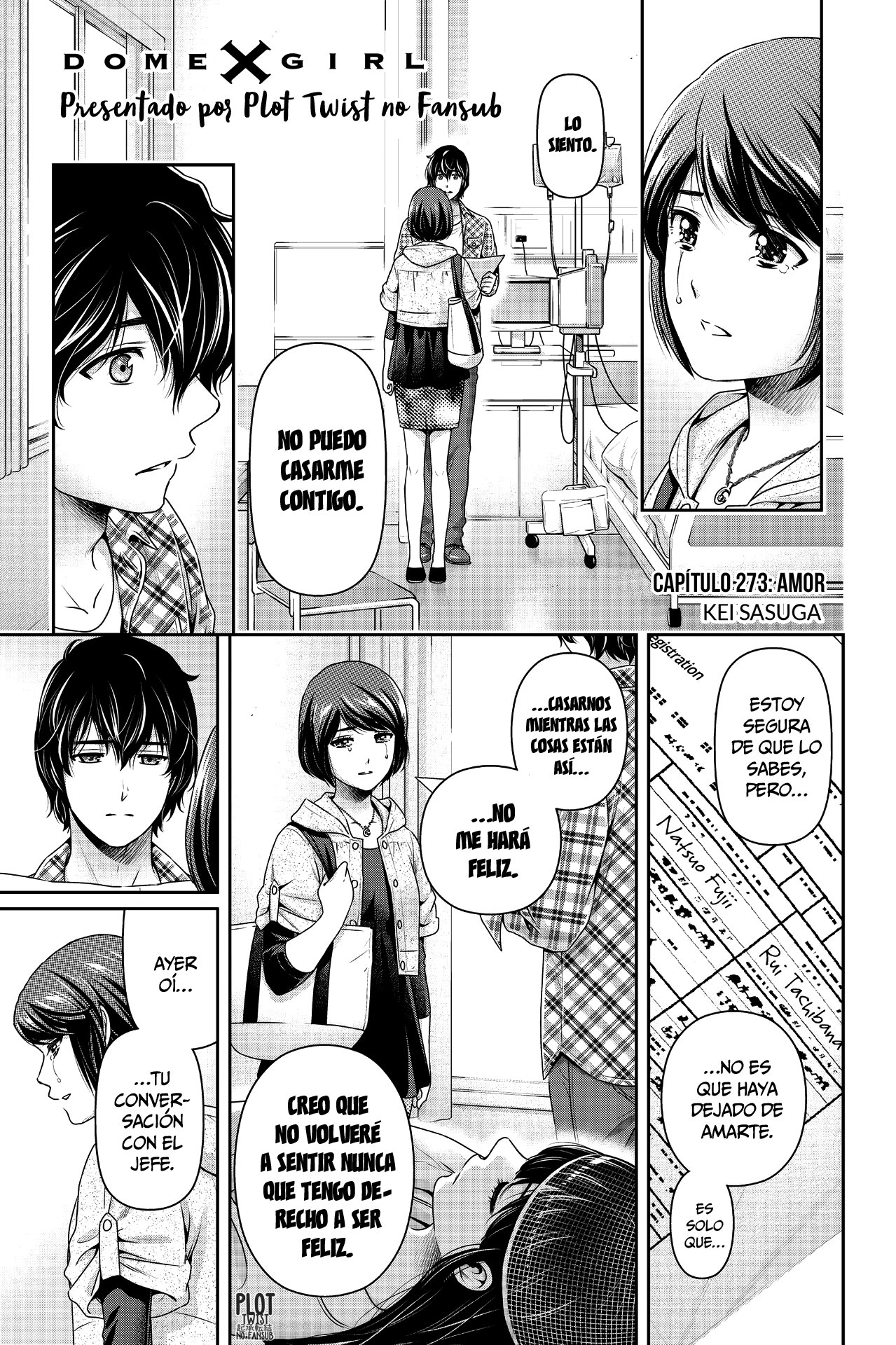 O AMOR DE NATSUO!! Domestic Na kanojo mangá capítulo 274 