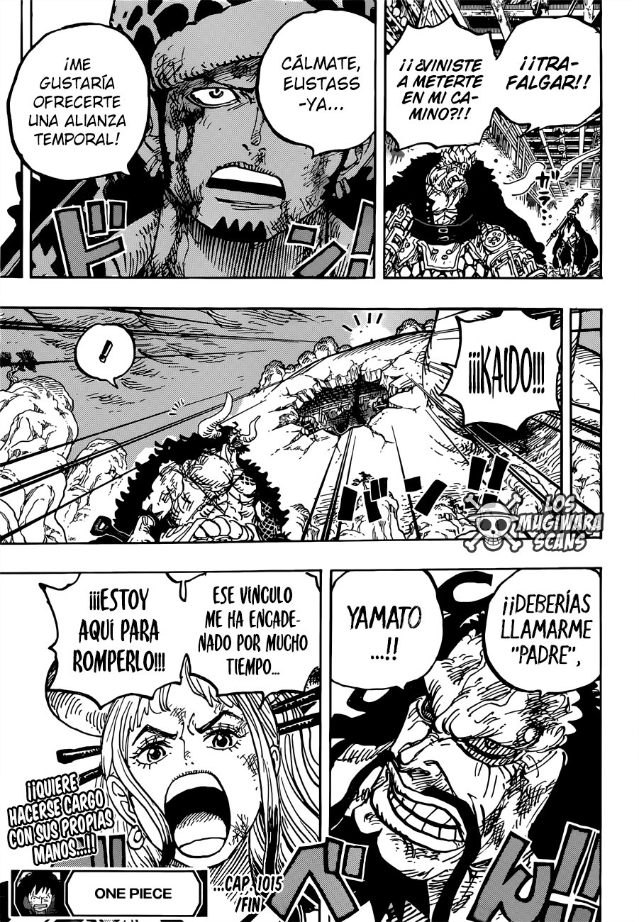 One Piece Chapter 1015